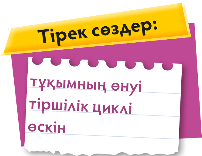 Ресурс 2@4x